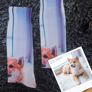 Breezy & Sparkly: Pet Photo Socks