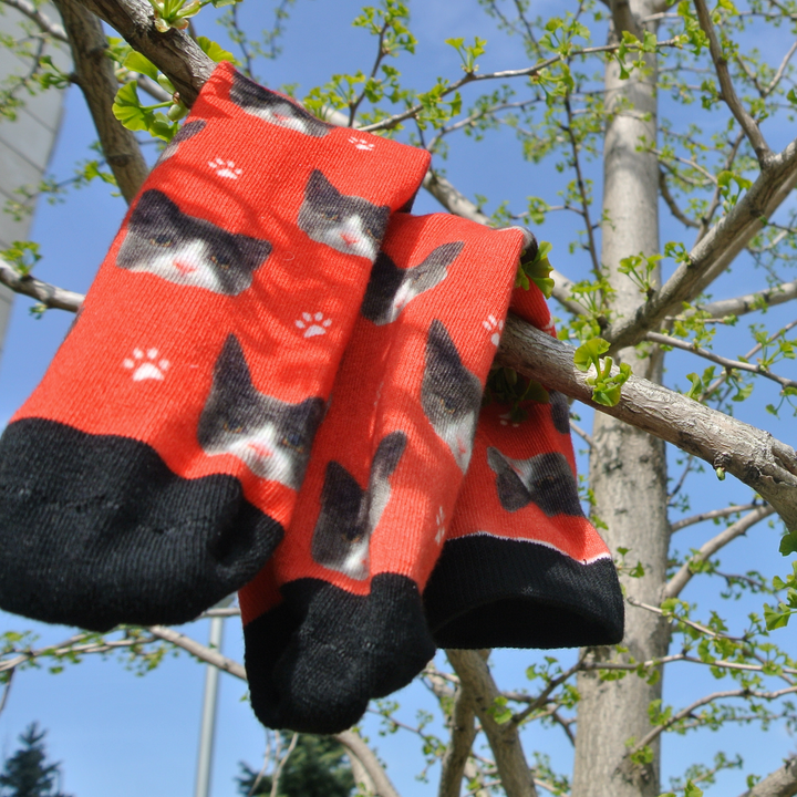 Cute Socks - I Love My Kitty Socks Online – Sock That!