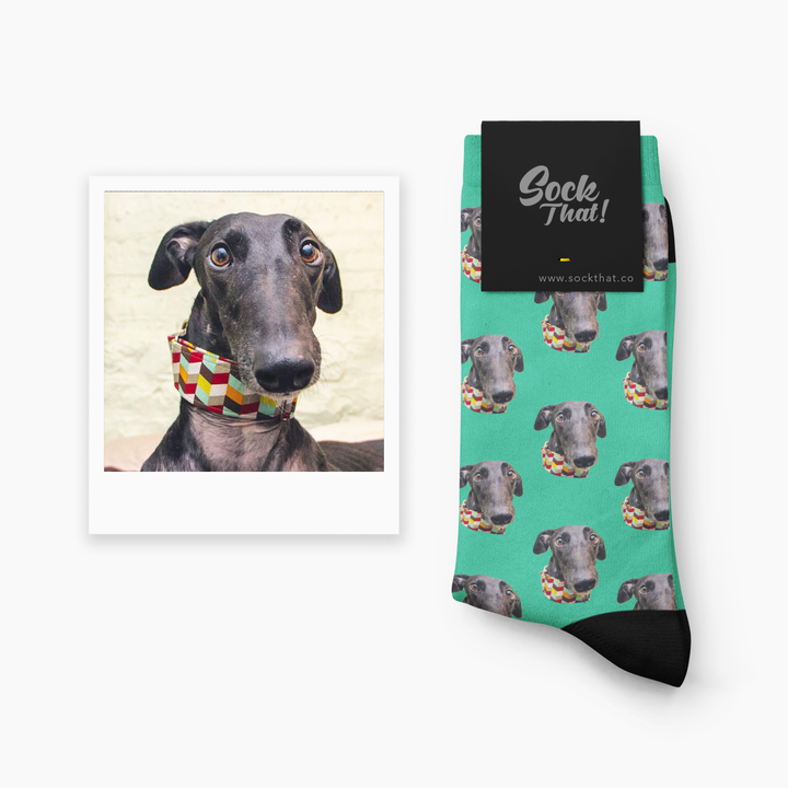 Put your Dog on Socks! - The Best Custom Dog Socks