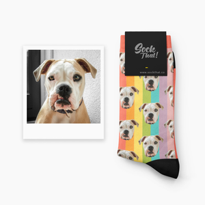 Custom Rainbow Background Animal Pet Face Socks 🌈
